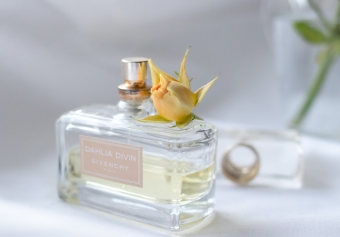 Best Smelling City Perfume Picks You Should Try