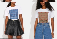 Must Have Coach T-shirts For Women