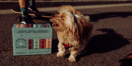 5 Best Wayfair's Top-Rated Products for Spoiled Fur Babies